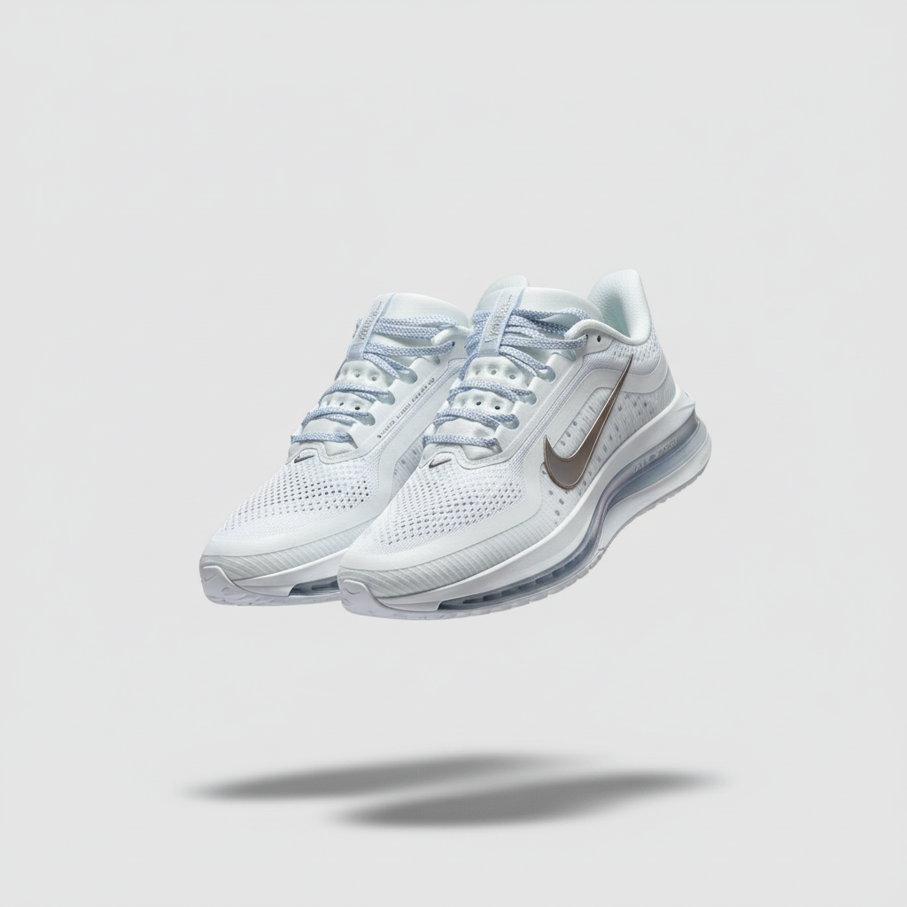Nike Pegasus Premium — White / Metallic Silver